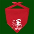 LE FOULARD BÉRET